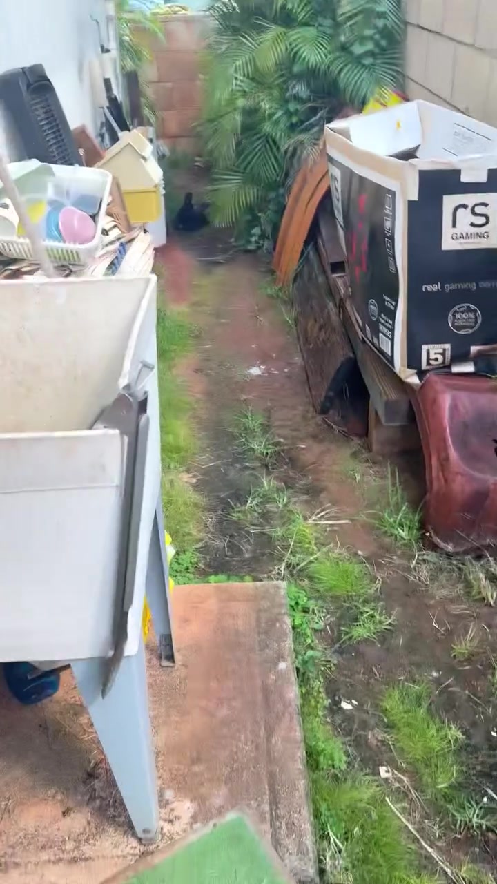 FOUND PET - Oahu | Stolen Stuff Hawaii
