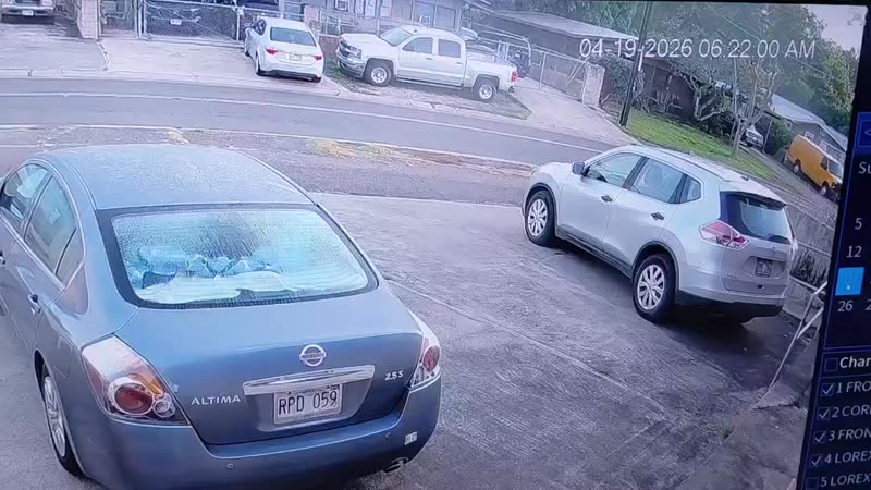 HIT AND RUN - Oahu | SSH Search
