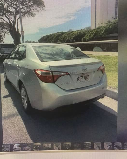 VEHICLE THEFT - Oahu | SSH Search