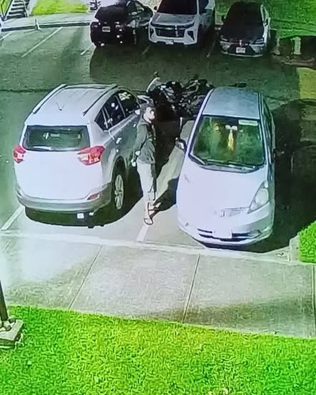 VEHICLE THEFT - Oahu | SSH Search