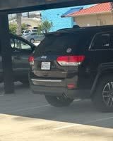 VEHICLE THEFT - Oahu | SSH Search
