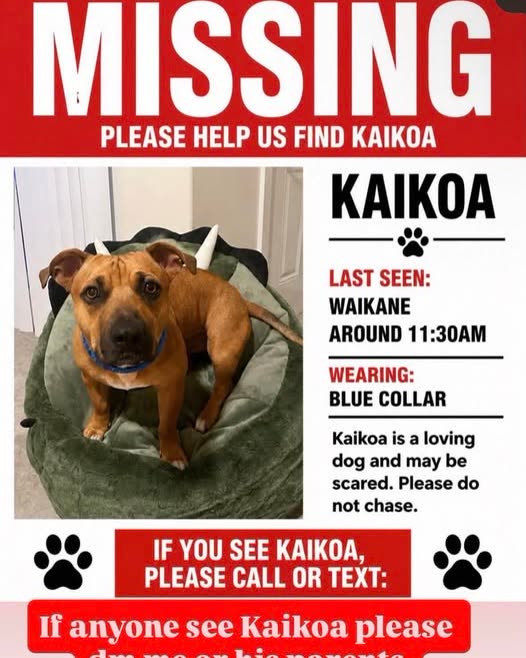 LOST PET - Oahu | SSH Search