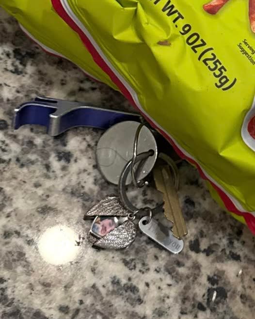 LOST ITEM - Oahu | SSH Search