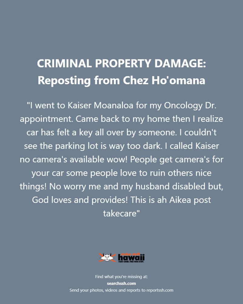CRIMINAL PROPERTY DAMAGE - Oahu | SSH Search