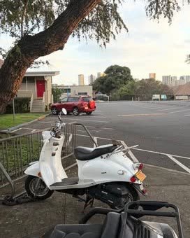 VEHICLE THEFT - Oahu | SSH Search