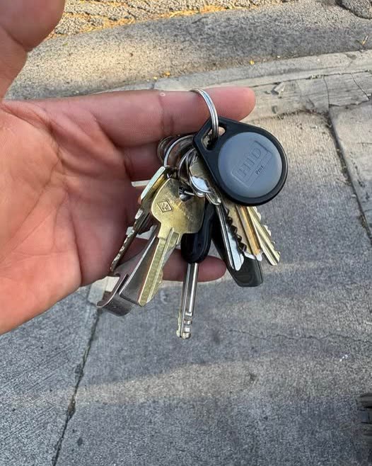 FOUND ITEM - Oahu | SSH Search