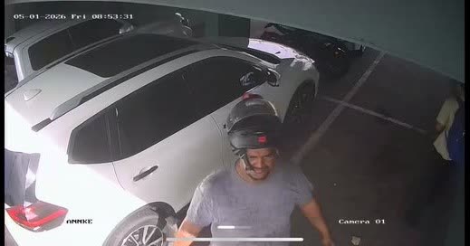 VEHICLE THEFT - Oahu | SSH Search