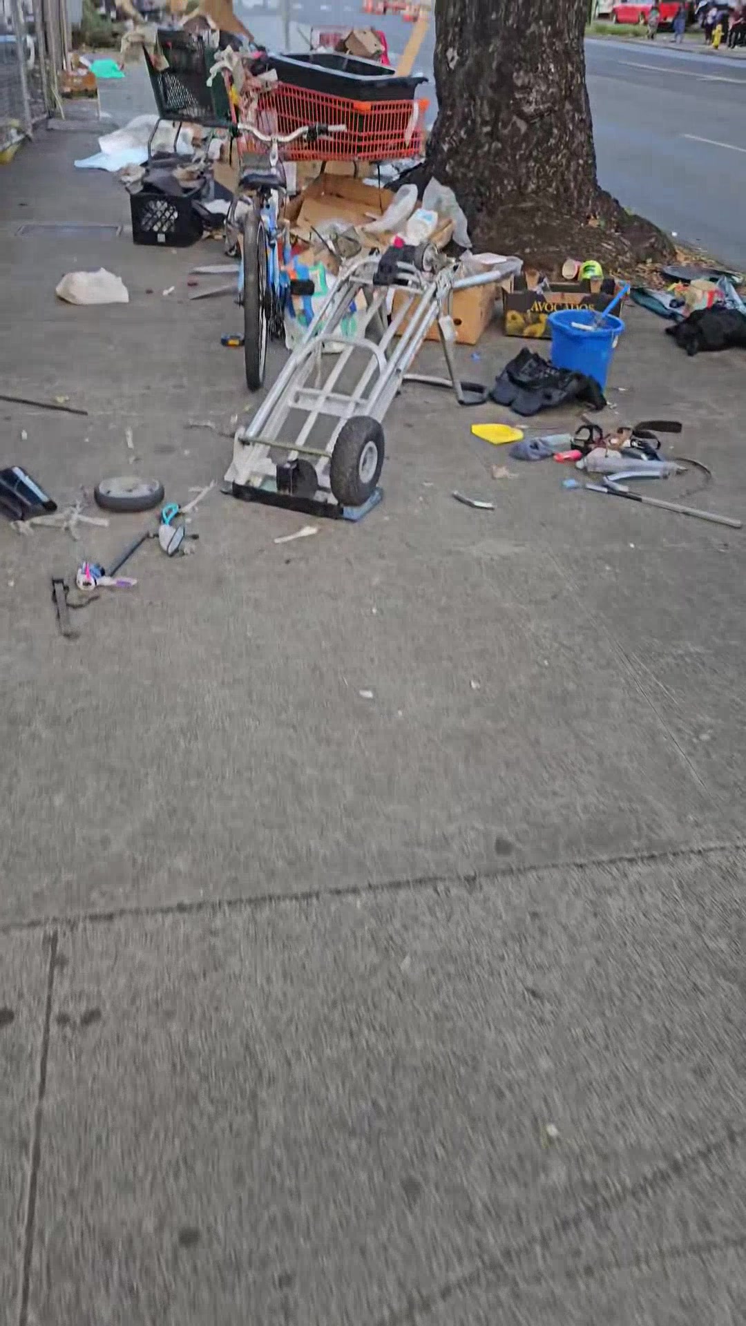 ILLEGAL DUMPING - Oahu | Stolen Stuff Hawaii