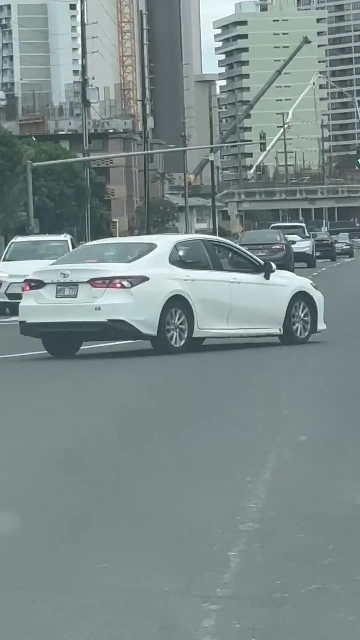ANIMAL SIGHTING - Oahu | Stolen Stuff Hawaii