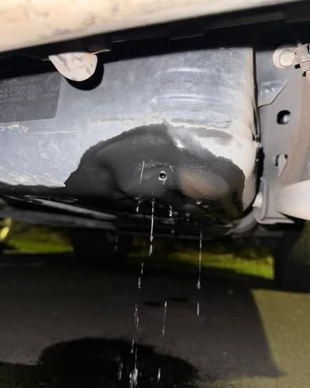 CRIMINAL PROPERTY DAMAGE - Oahu | SSH Search