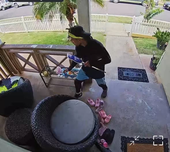 THEFT - Oahu | SSH Search