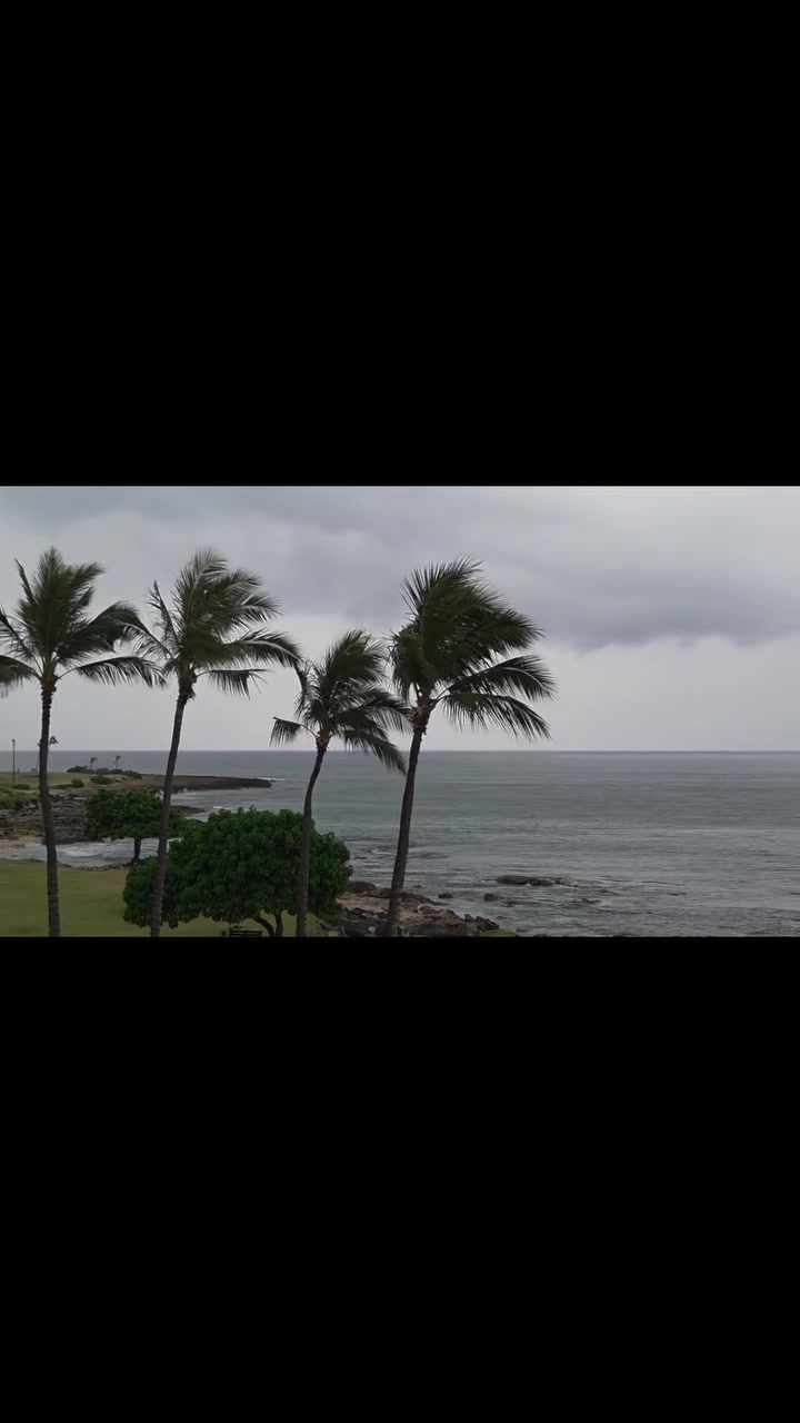 WEATHER ALERT - Oahu | Stolen Stuff Hawaii