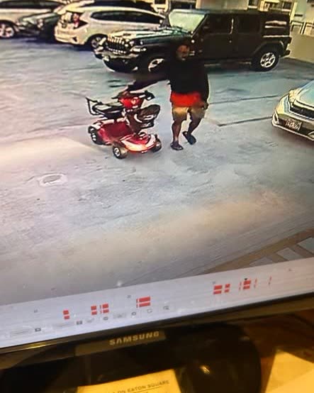 VEHICLE THEFT - Oahu | SSH Search