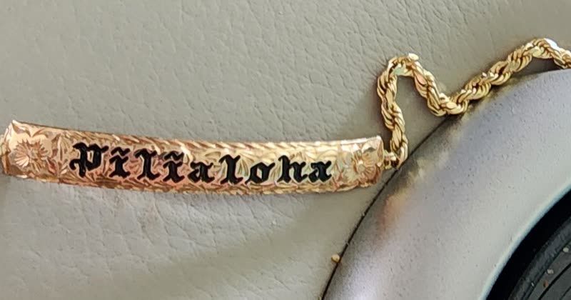 FOUND ITEM - Oahu | SSH Search