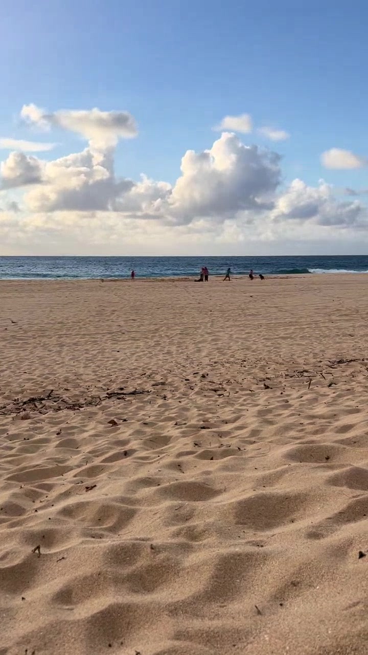 AWARENESS - Oahu | Stolen Stuff Hawaii