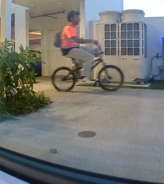 VEHICLE THEFT - Oahu | SSH Search