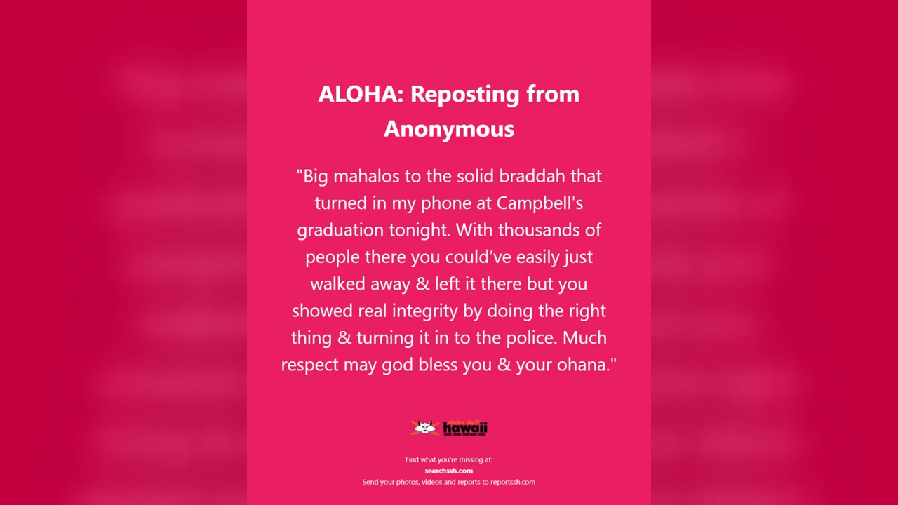 ALOHA - Oahu | Stolen Stuff Hawaii