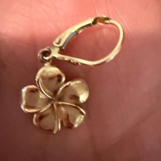 LOST ITEM - Oahu | SSH Search