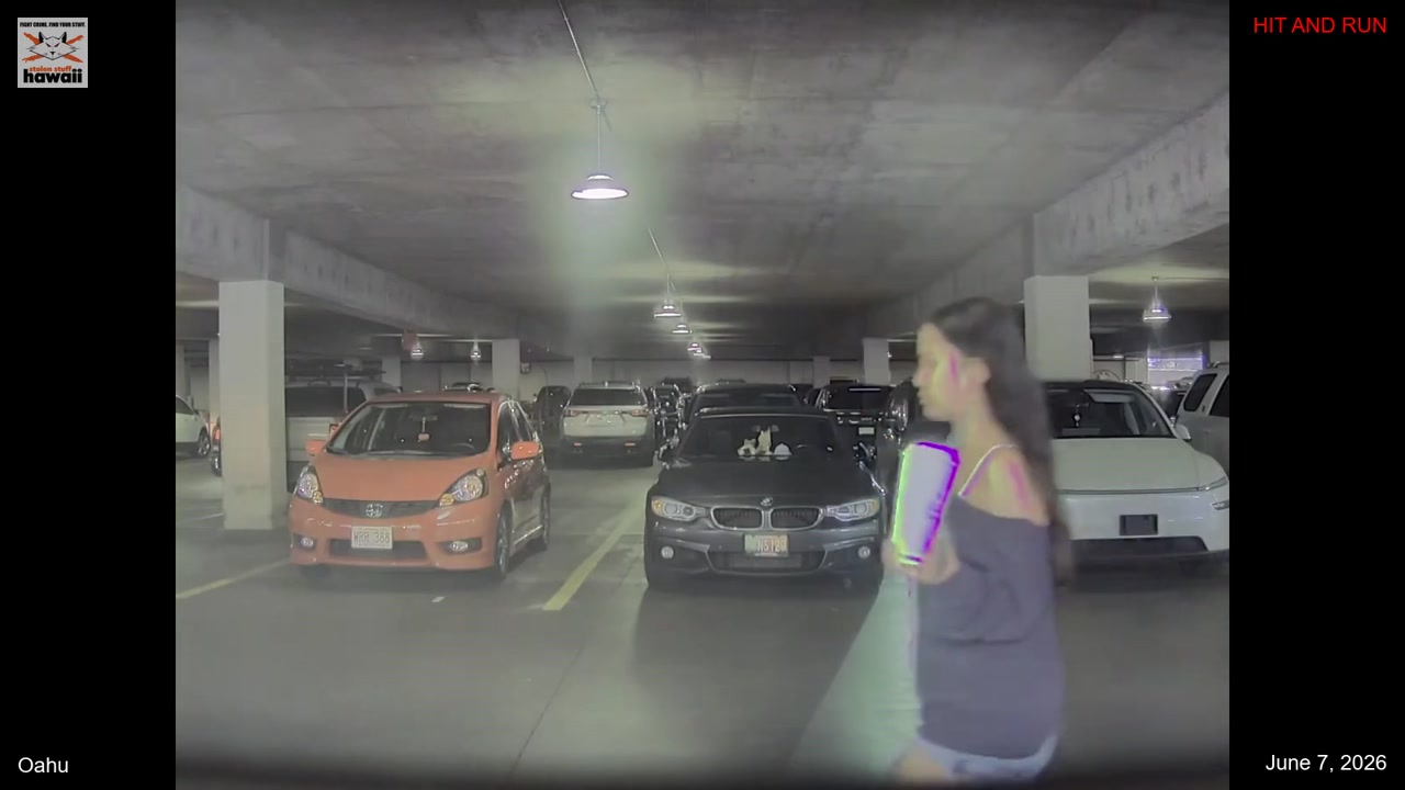 HIT AND RUN - Oahu | Stolen Stuff Hawaii