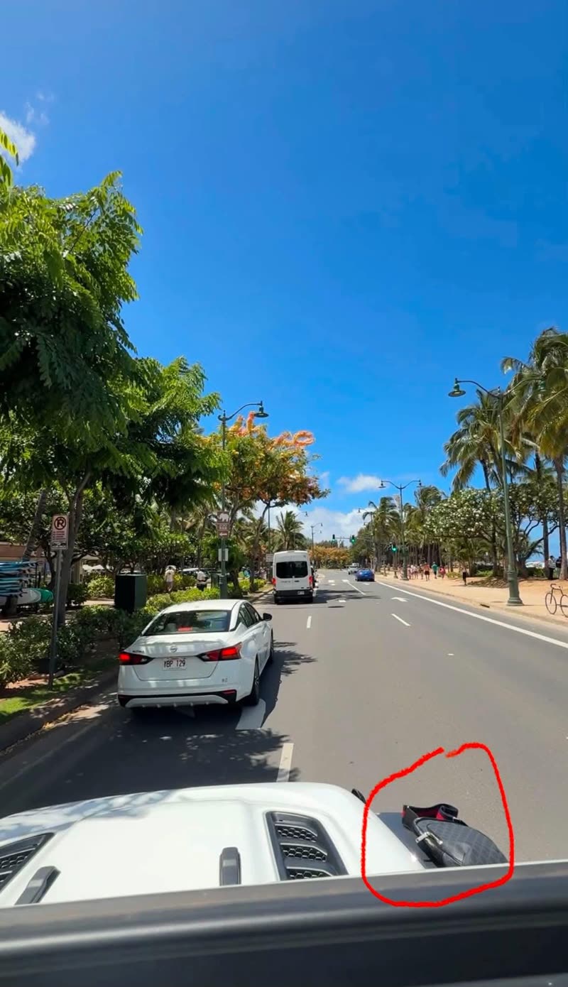 LOST ITEM - Oahu | SSH Search