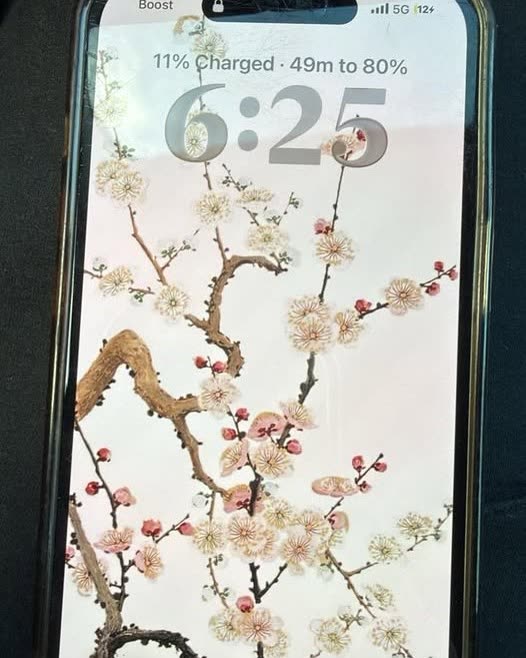 FOUND ITEM - Oahu | SSH Search