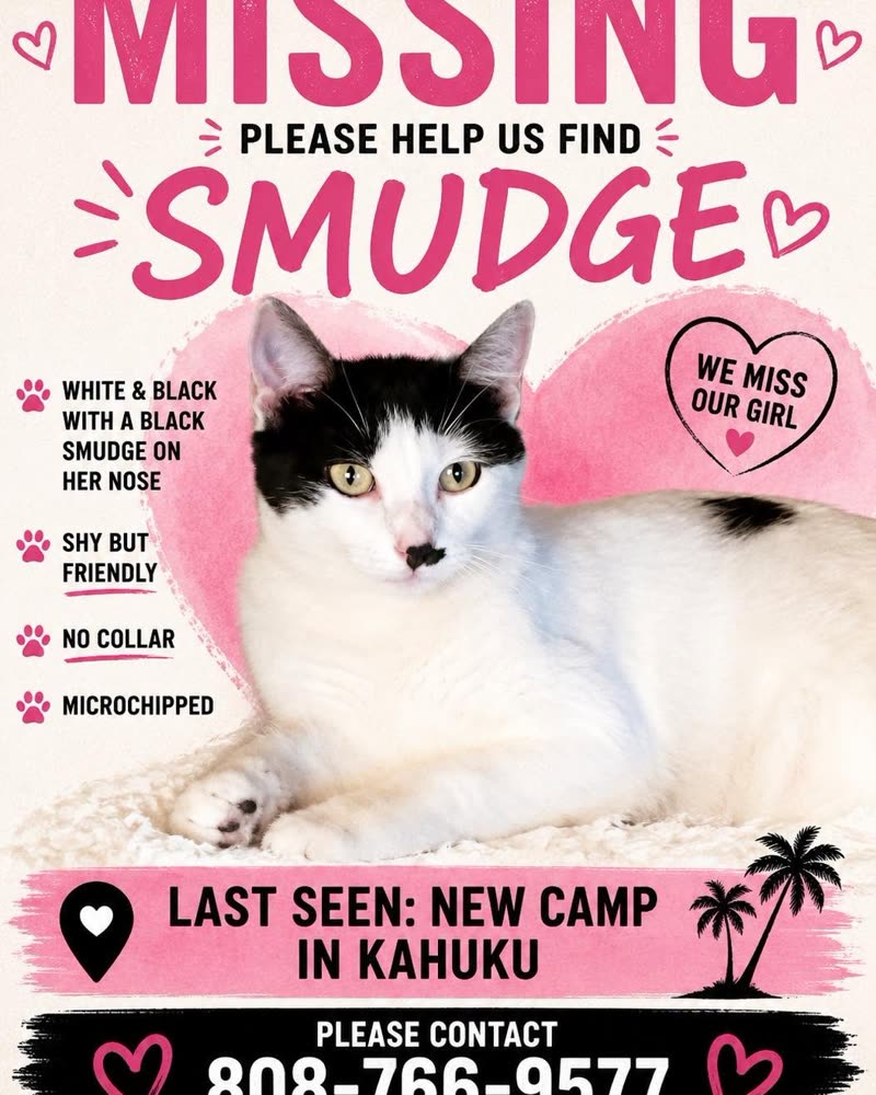 LOST PET - Oahu | SSH Search
