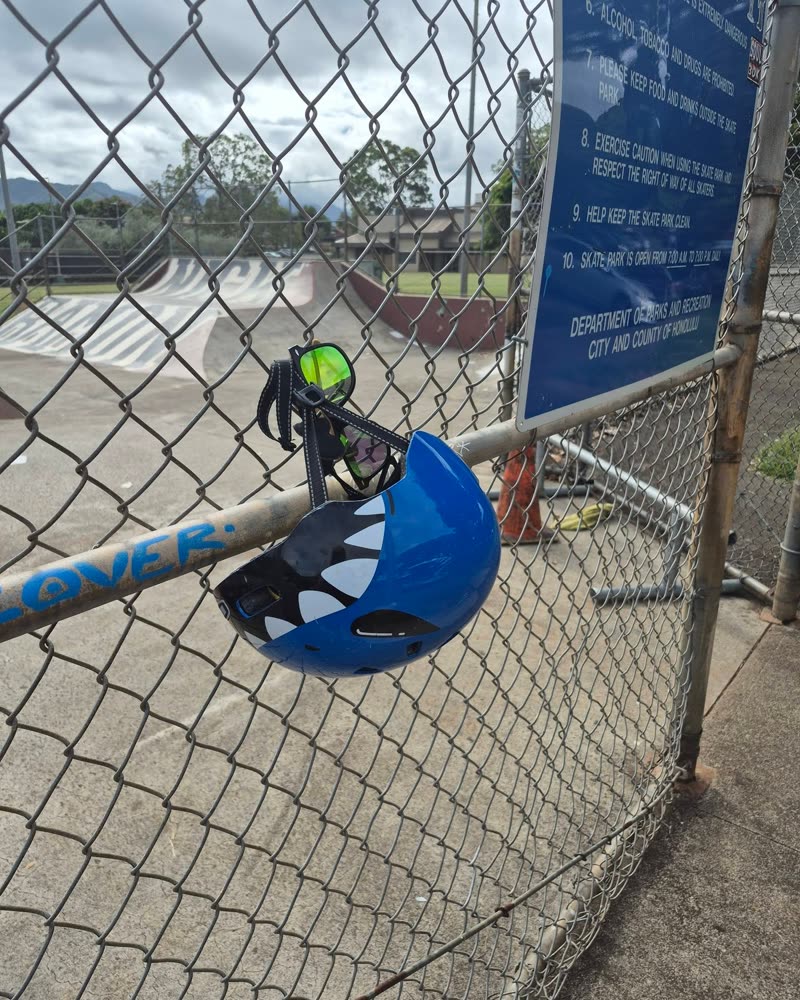 FOUND ITEM - Oahu | SSH Search
