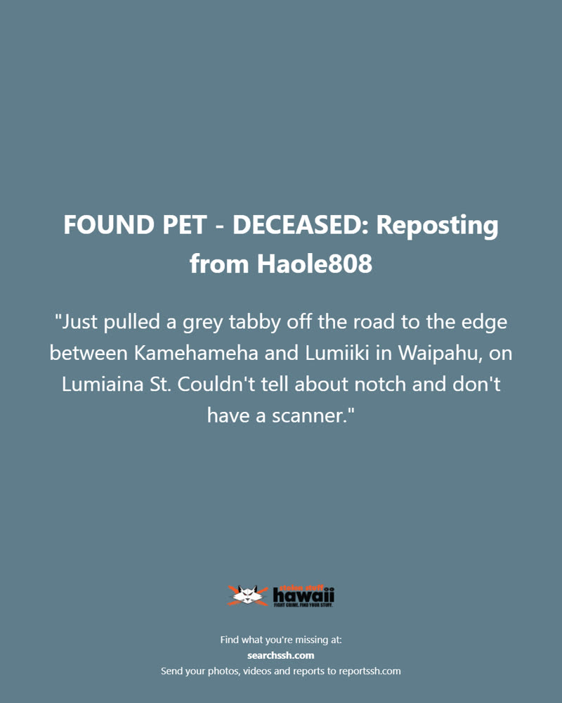 FOUND PET - Oahu | SSH Search