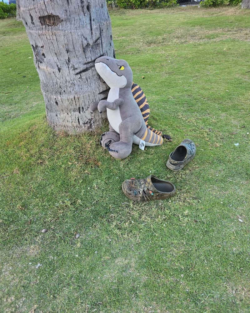 FOUND ITEM - Oahu | SSH Search