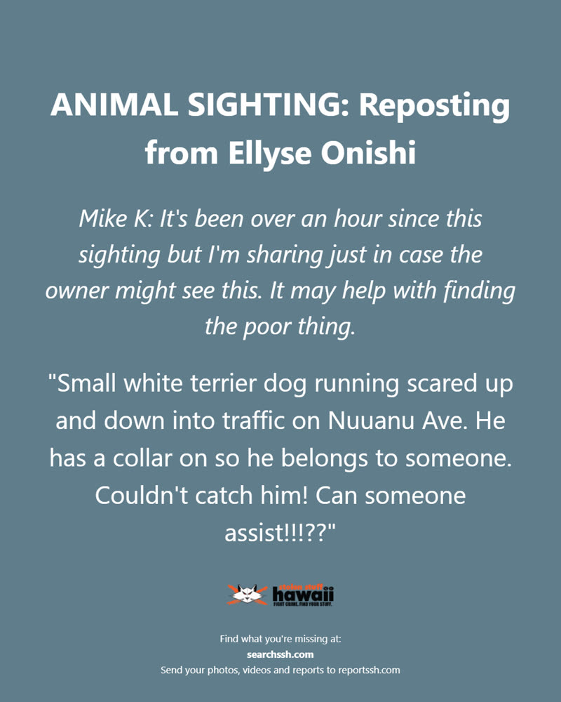 ANIMAL SIGHTING - Oahu | SSH Search