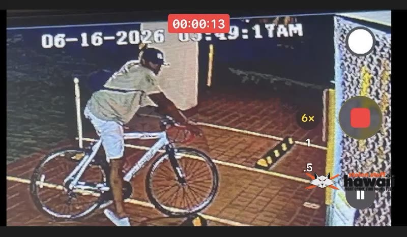 THEFT - Oahu | SSH Search