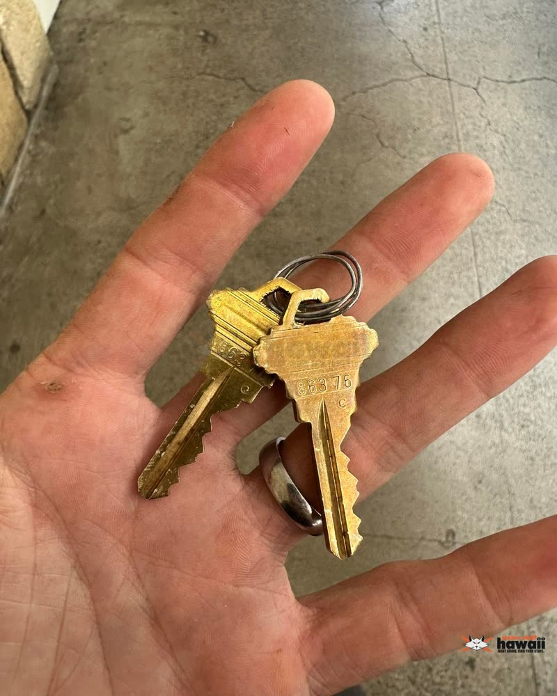 FOUND ITEM - Oahu | SSH Search