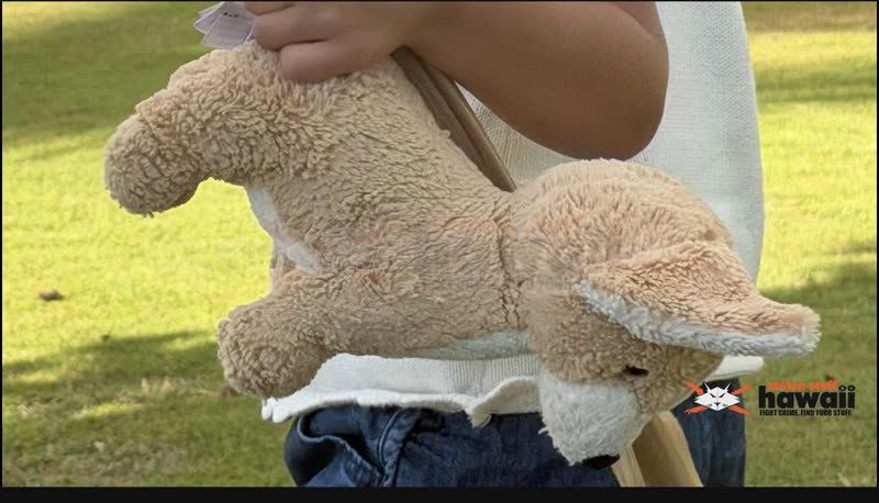 LOST ITEM - Oahu | SSH Search