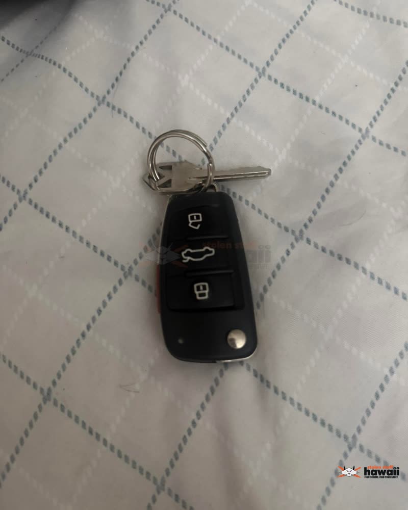 FOUND ITEM - Oahu | SSH Search