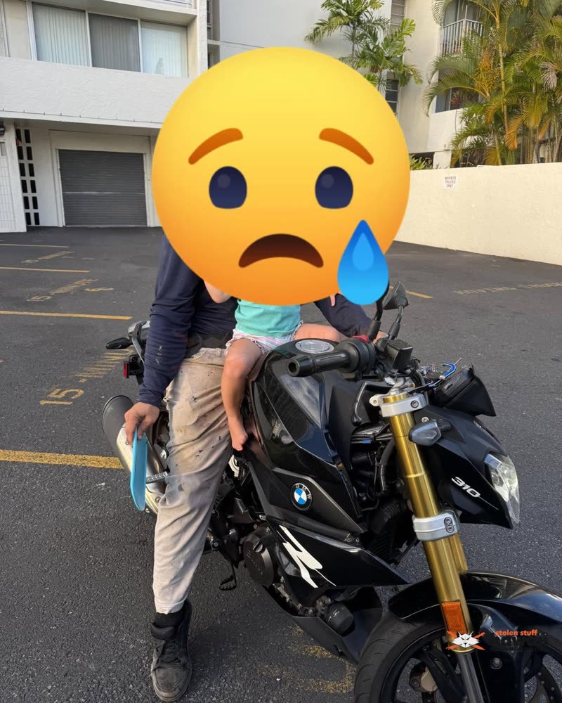 VEHICLE THEFT - Oahu | SSH Search