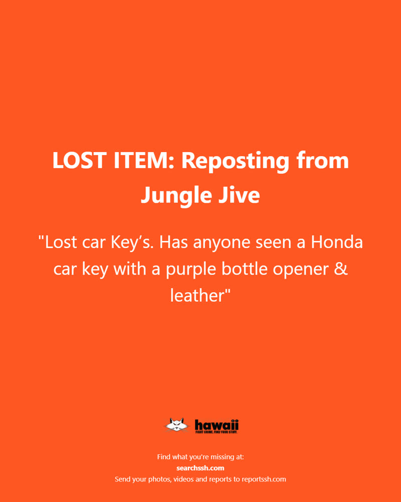 LOST ITEM - Oahu | SSH Search