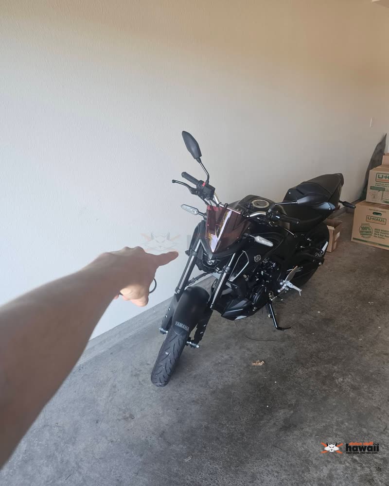 VEHICLE THEFT - Oahu | SSH Search