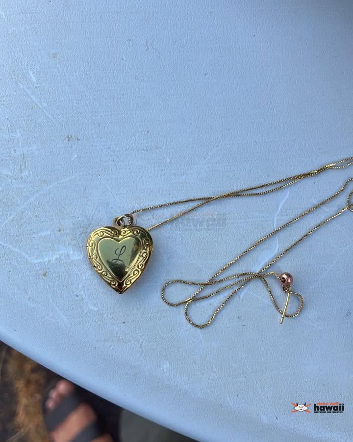 FOUND ITEM - Oahu | SSH Search