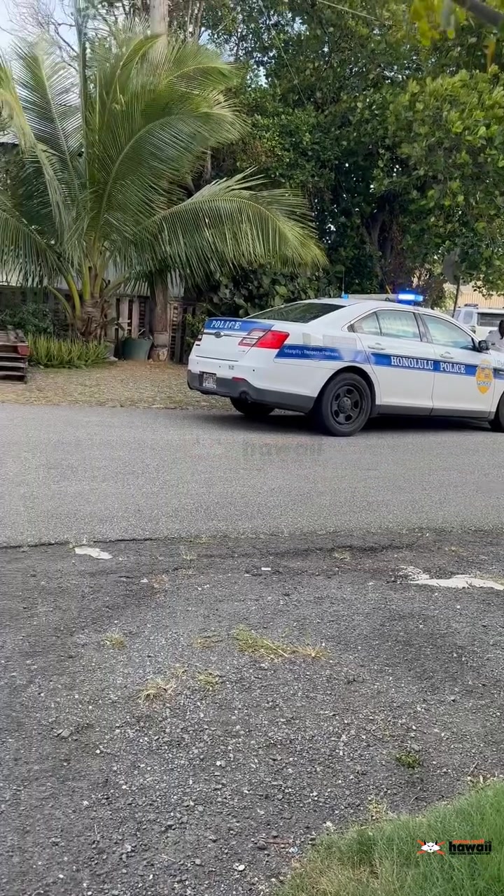 AWARENESS - Oahu | Stolen Stuff Hawaii