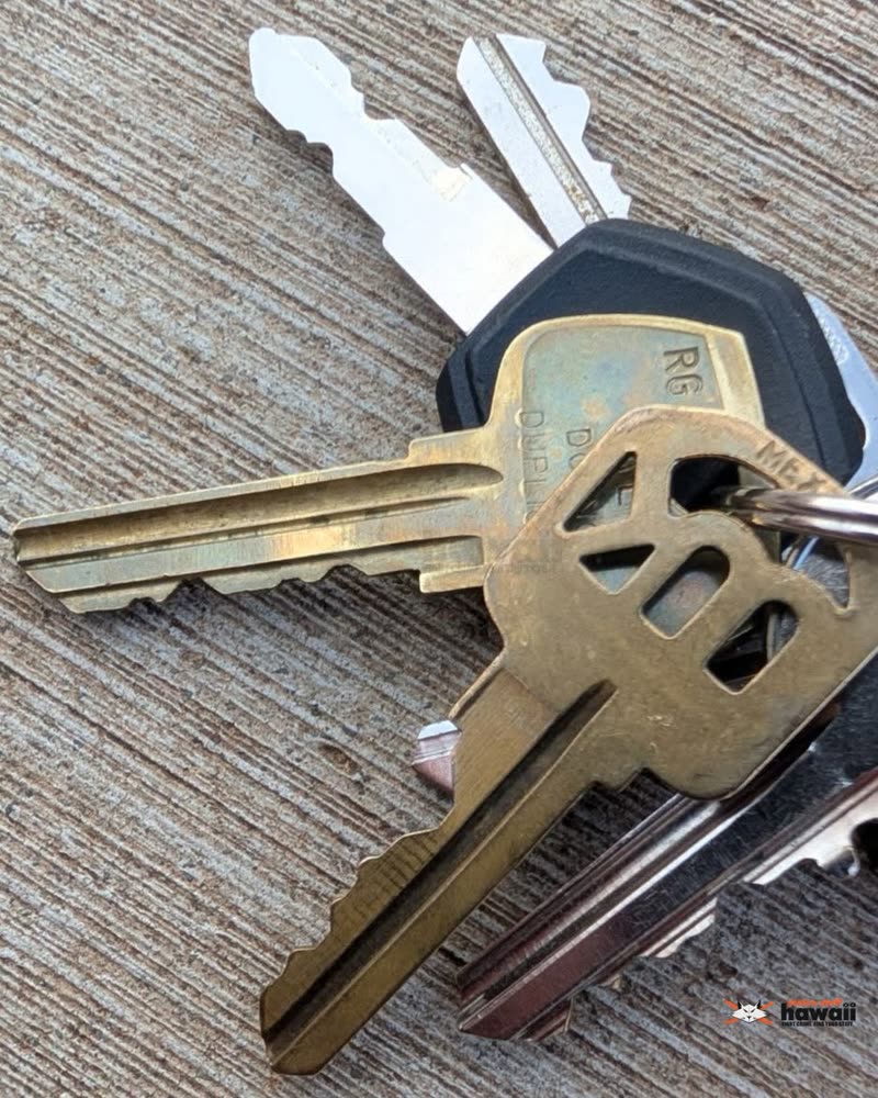 FOUND ITEM - Oahu | SSH Search