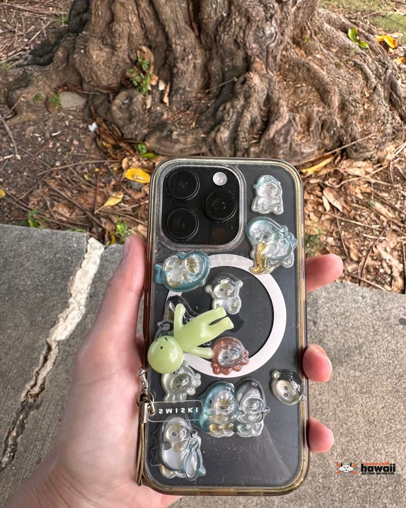 FOUND ITEM - Oahu | SSH Search