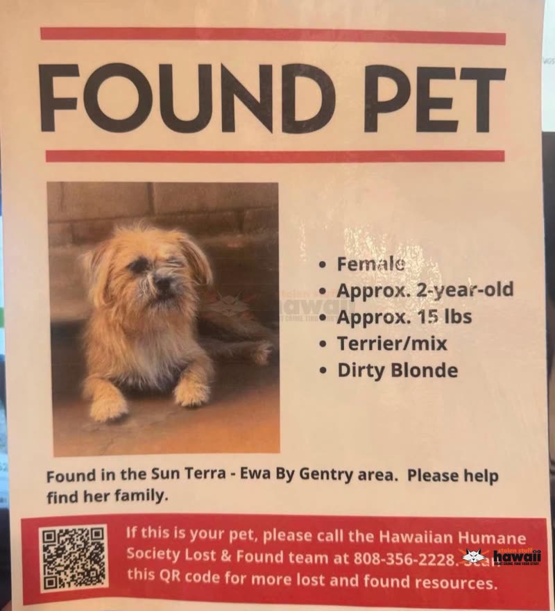 FOUND PET - Oahu | SSH Search