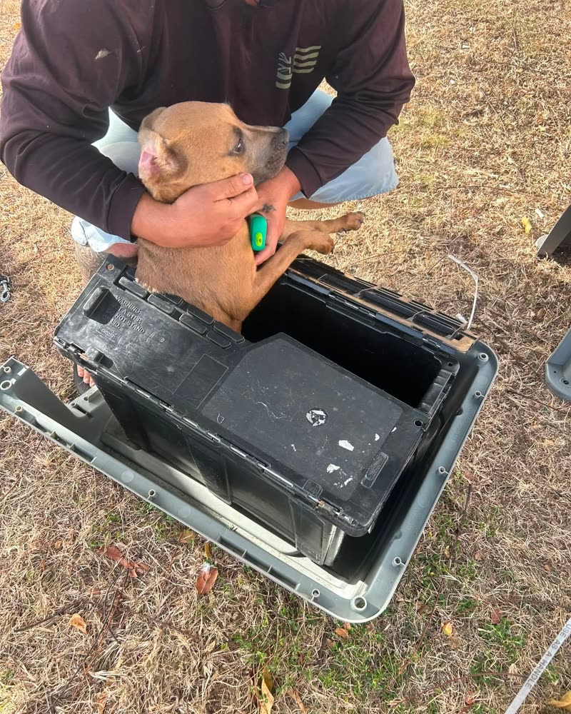 ANIMAL ABUSE - Oahu | SSH Search