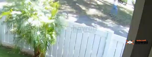 ATTEMPTED BURGLARY - Oahu | Stolen Stuff Hawaii