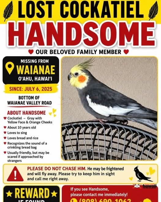 LOST PET - Oahu | SSH Search