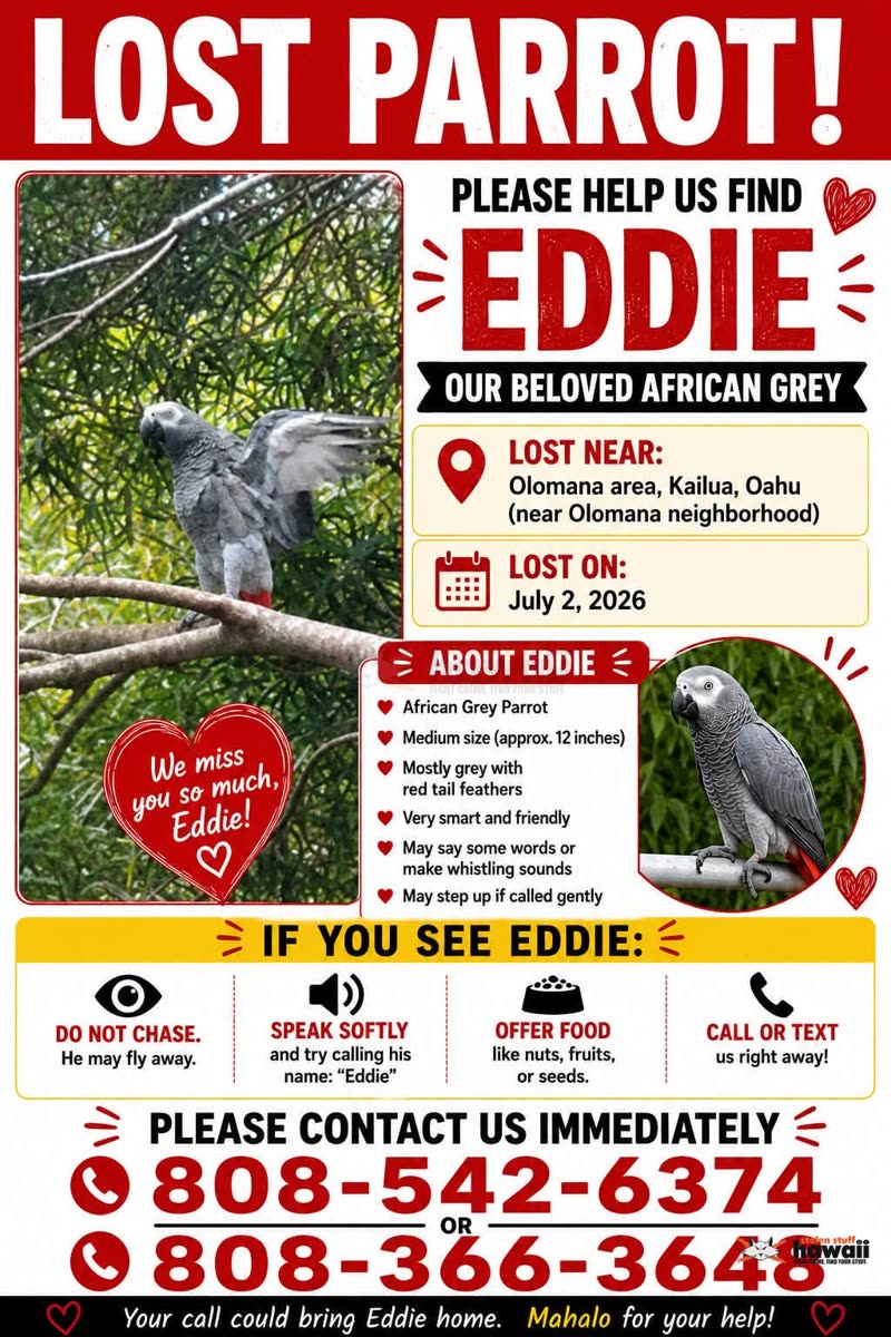 LOST PET - Oahu | SSH Search