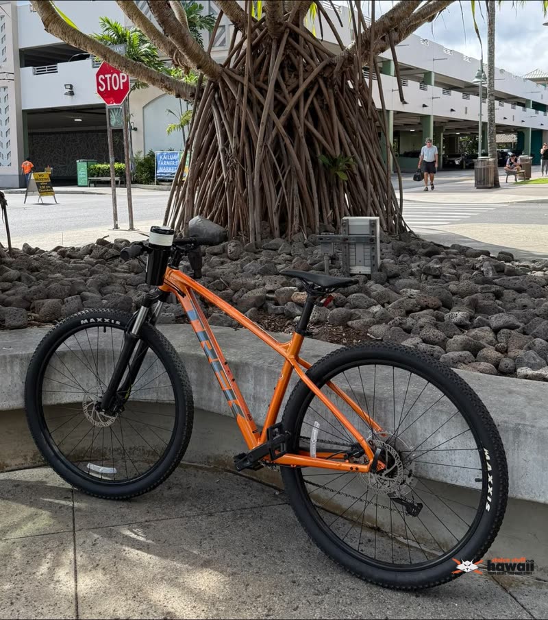 THEFT - Oahu | SSH Search