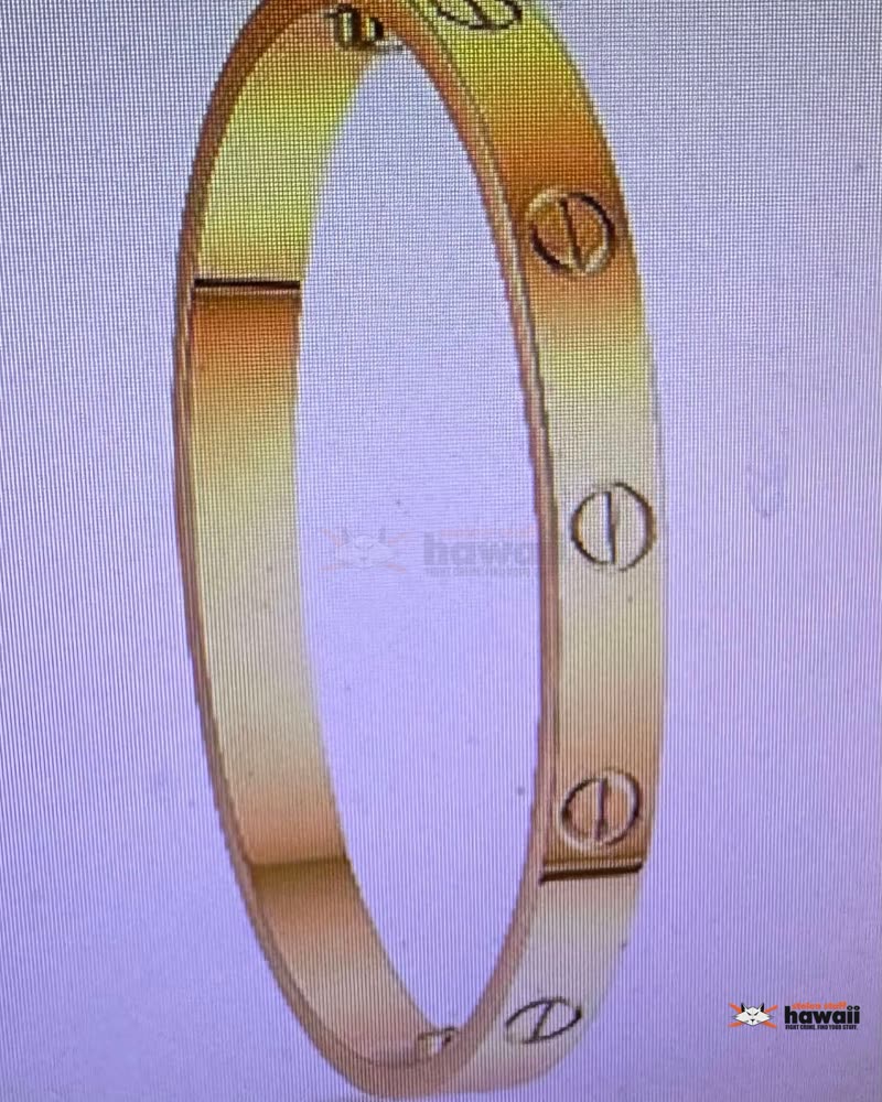LOST ITEM - Oahu | SSH Search