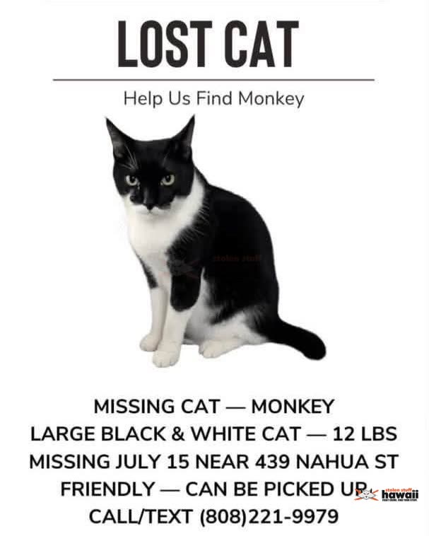 LOST PET - Oahu | SSH Search