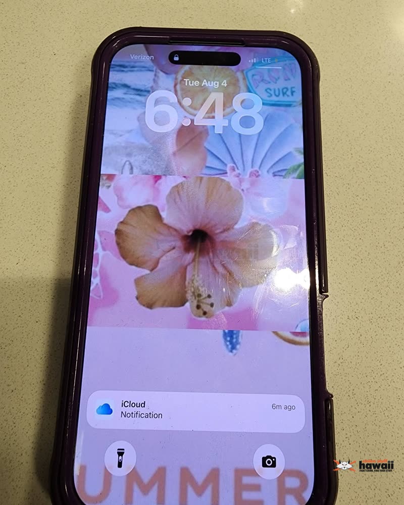 FOUND ITEM - Oahu | SSH Search